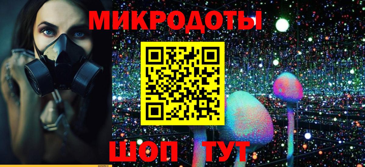 Псилоцибиновые грибы мицелий  Вход с VPN  Галлюциногенные грибы Psilocybe  Кулебаки 